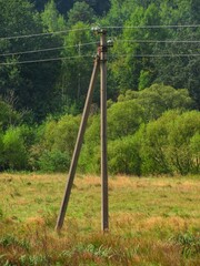 Power line coexistence with wild nature