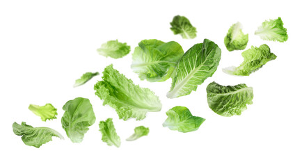 Fresh lettuce leaves flying against white background © New Africa