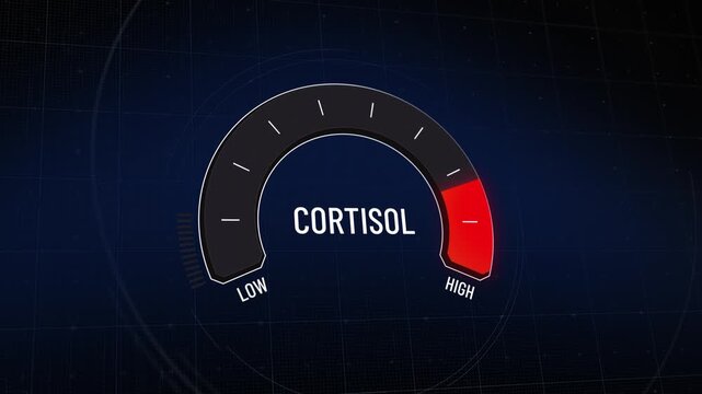 Animated digital gauge, cortisol level decreasing from critical high to safe low, stressful indicator of hormone production, abstract motion graphics, from danger to safety, Copy space