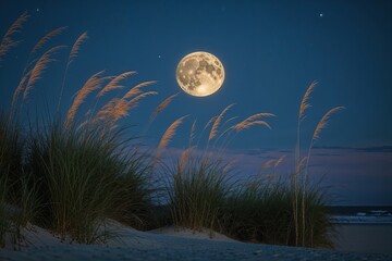 Fototapeta premium Silhouetted Beach Grass Under a Full Moon Night Sky