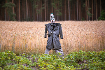 Strach na wróble na tle pola zboża