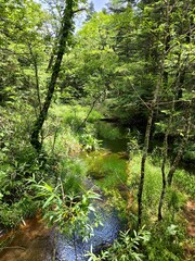 river, mountains, Japanese Alps, Kamikochi, travel in Japan