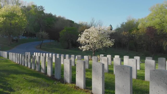 Row of gravesites of fallen soldiers at a war cemetery in Mont Royal Cemetery, Montreal, Quebec, Canada