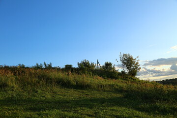 landscape with trees and sky