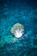 Wave Crashing Over Submerged Rock in Clear Blue Ocean