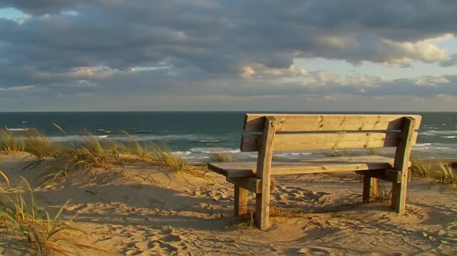 Peaceful beach scene with wooden bench