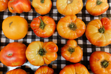 Colorful heirloom tomatoes arranged on a checkered tablecloth at a local market in the afternoon sun