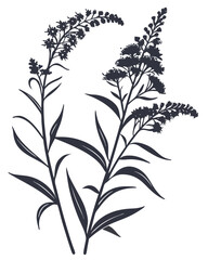 Minimalist Goldenrod Flower Silhouette Vector