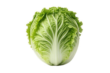 Fresh Napa Cabbage A Vibrant Front View of Isolated Vegetable on White Background