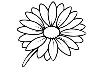 daisy line art flower vector illustration