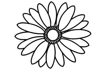 daisy line art flower vector illustration