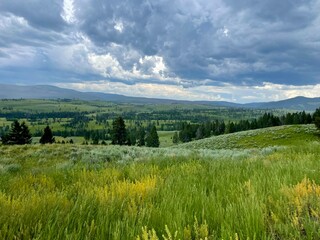 Fototapeta premium landscape of fields, trees and clouds