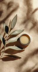 Overhead shot of a small tin of pale yellow balm beside an olive branch, cast in dappled sunlight on a light wood surface