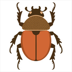 Colorful bug nature biodiversity vector graphic