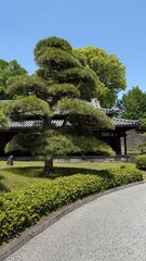 japanese garden in the park