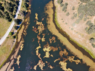 Summer view of Beglika Reservoir, Bulgaria