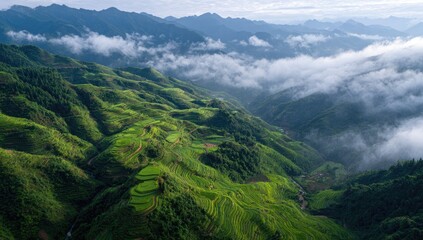 Obraz premium Verdant terraced rice paddies cascade down misty mountain slopes, creating a breathtaking panorama under a soft, hazy sky