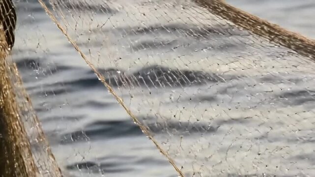Fishing Net and Water: A close-up perspective showcases a section of a fishing net, with its intricate pattern against the backdrop of a shimmering, light-dappled water surface.