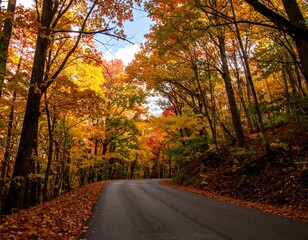 Obraz premium Autumnal forest road (2)