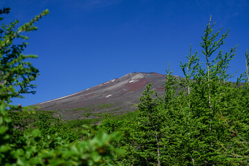 Mt. Fuji Hiking Early Summer
