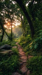 Naklejka premium Winding Path Through Lush Green Forest at Sunrise