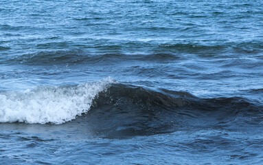 打ち寄せる波