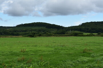 夏の北海道