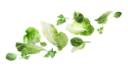 Fresh salad leaves flying against white background. Lettuce, spinach and parsley