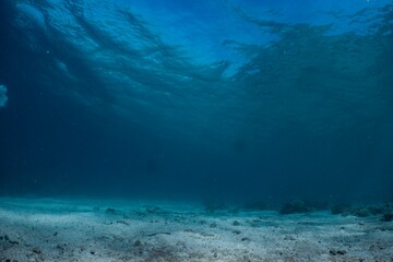 Underwater view of turquoise water and sandy seabed.