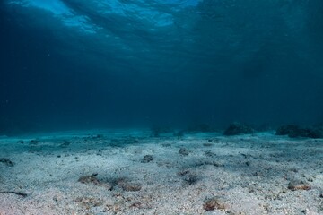 Underwater scene with sandy seabed and distant rocks.