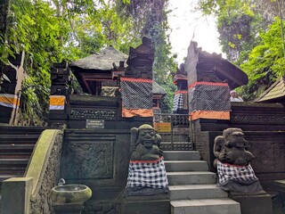 the monkey forest in bali island, Indonesia