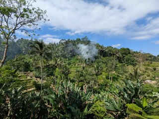 tegalaran rice terrace in Bali island, Indonesia