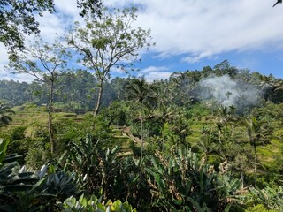 tegalaran rice terrace in Bali island, Indonesia