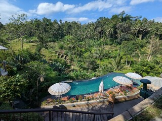tegalaran rice terrace in Bali island, Indonesia