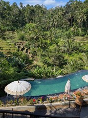 tegalaran rice terrace in Bali island, Indonesia