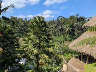 tegalaran rice terrace in Bali island, Indonesia