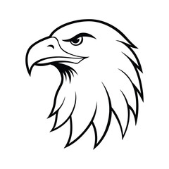 eagle head vector illustration