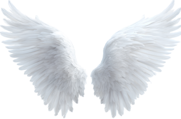 White angel wings isolated on a white background, in a simple style, PNG format.