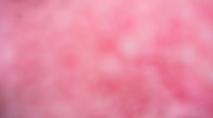 Abstract Pink Background of Petals