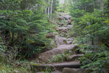 日本：縞枯山／岩がゴロゴロで急こう配の登山道【北八ヶ岳】長野県茅野市・8月