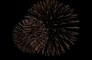 Fototapeta premium Golden Palm Fireworks Display