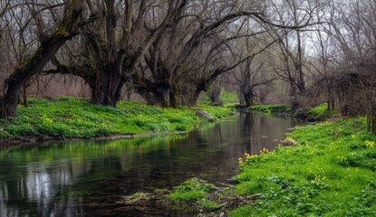 A tranquil creek winds through a misty woodland.  Large, gnarled trees line the banks, their branches draped over the water. 