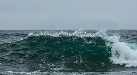 Naklejka premium Oceanic Surge: Witness the raw power and natural beauty of the sea as a solitary wave crests and crashes. The water's surface is a canvas of deep blues and whites.
