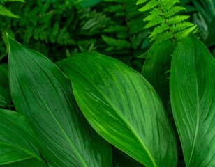 Close-up of vibrant green tropical leaves