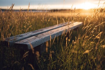 Rustic wooden bench in golden tall grass at sunset.