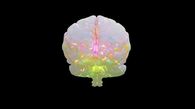 Brain digital color. Neuron connections. Futuristic medical technology concept. Animation Seamless loop and Alpha Channel. 3D Render.