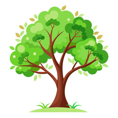 Fototapeta premium vector tree with green leaves
