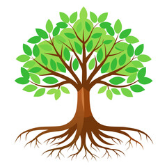 Fototapeta premium tree with green leaves