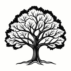 Obraz premium vector tree with roots