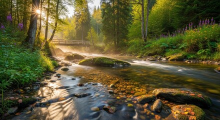 Obraz premium River stream